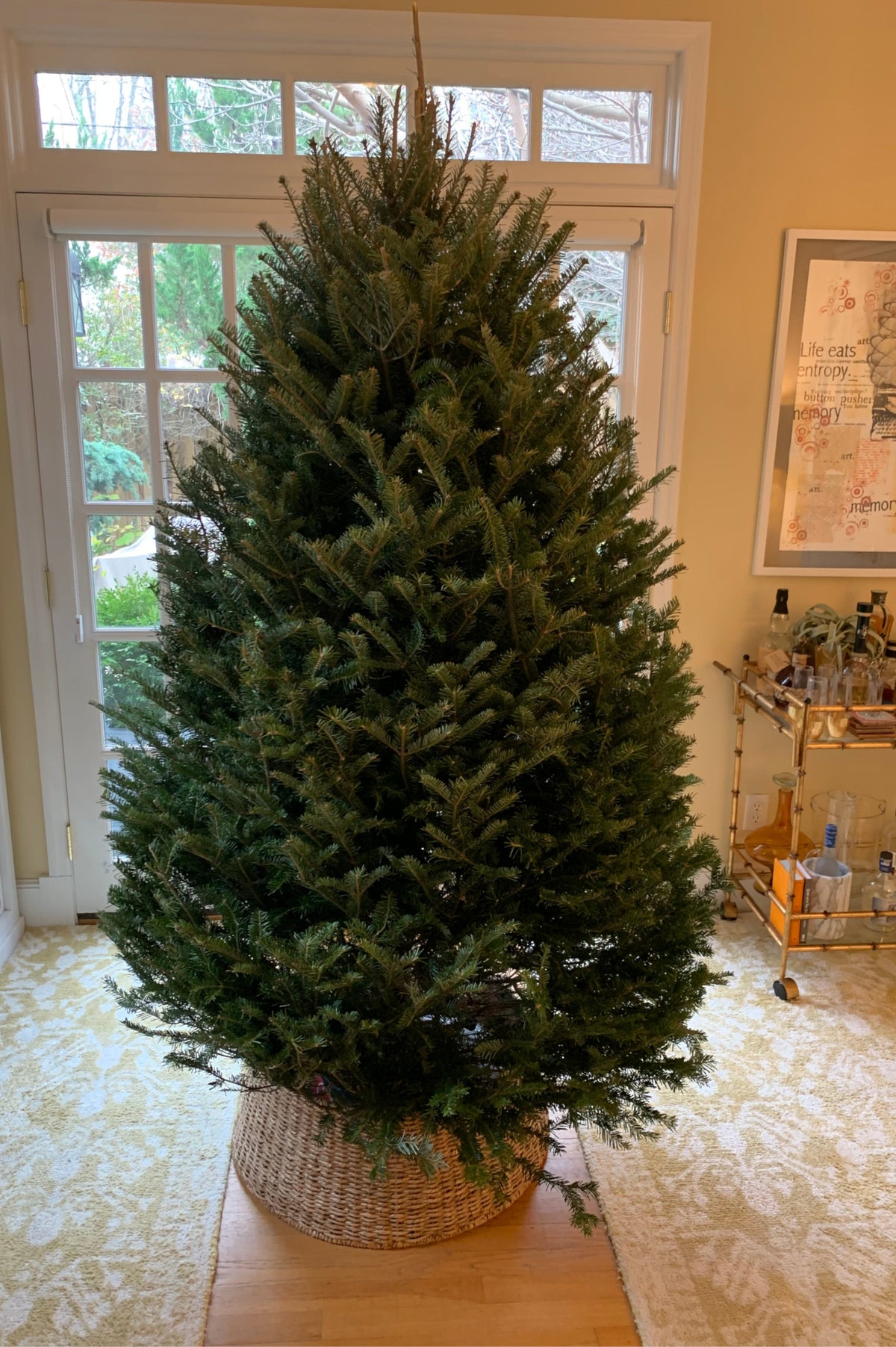 Fresh-Cut 6-Ft Balsam Fir Christmas Tree, Delivered
